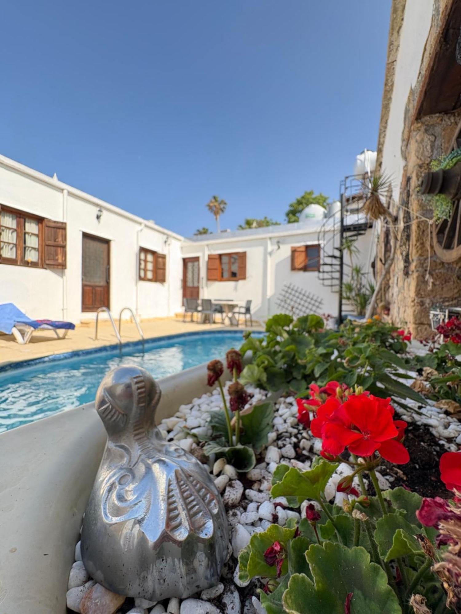 Hotel Kyrenia Palace Boutique 4*